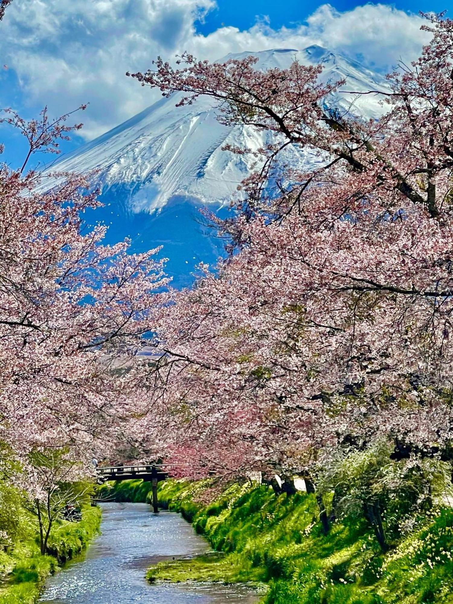 T&t Fujiyama Fujiyoshida